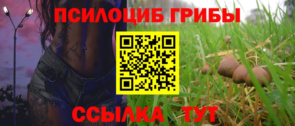 Псилоцибиновые грибы Psilocybe  Вход с VPN  Армавир 